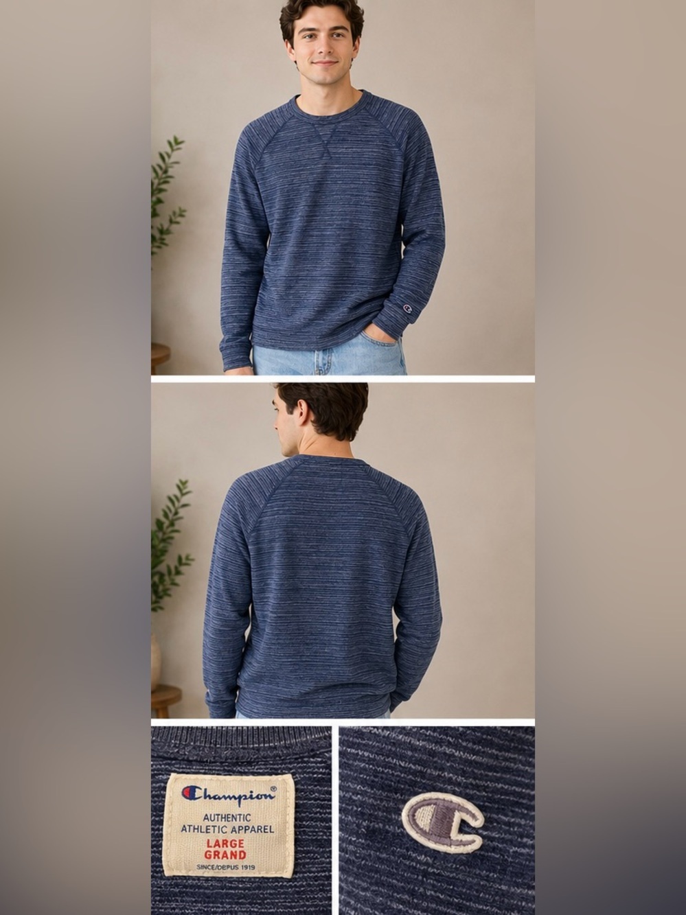 Champion Men’s Blue Heather Stripe Crewneck Large Pullover - Picture 2 of 6